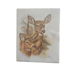 Vintage Lithograph Deer Doe Art Print By Ruane Manning